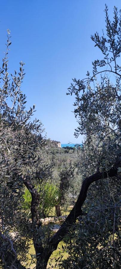 Dimora Mediterranea Mattinata Exterior photo